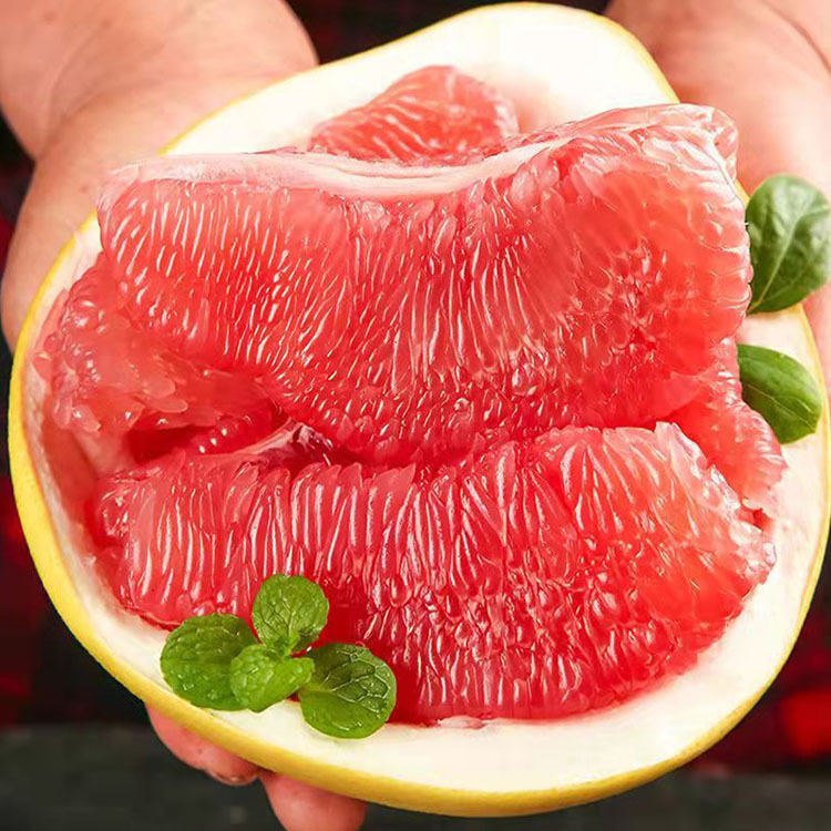 【厂货通】南非西柚 新鲜酸甜红肉葡萄柚红心柚子孕妇水果代发0617