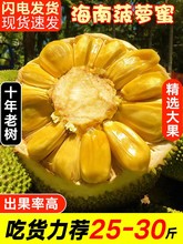 老树】 海南黄肉菠萝蜜一整个新鲜水果干苞大树波罗蜜20-40斤