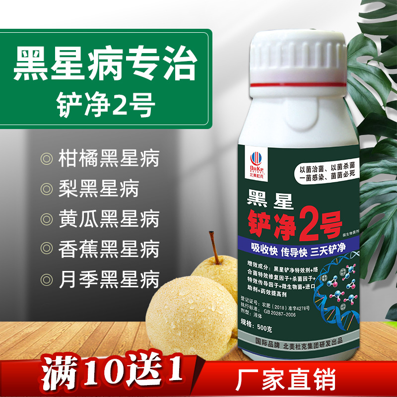黑星病铲净2号农药杀菌剂 香蕉月季柑橘黄瓜梨树苹果黑星病专用药