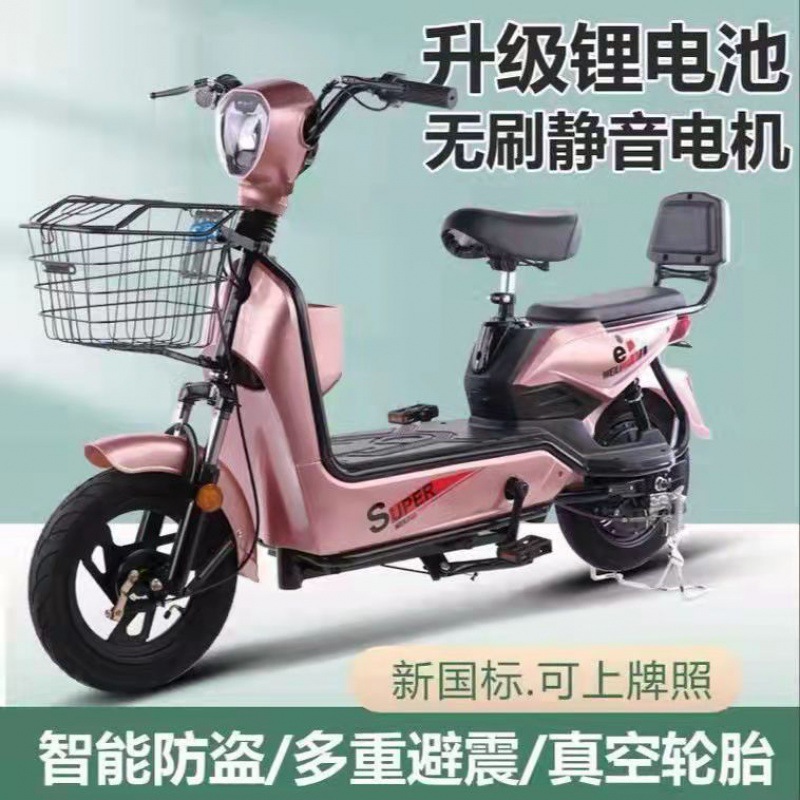 电动自行车新标可上牌款成人电瓶车两轮电动车男女代步车