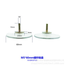 【厂家直销】开易德   M5*19*60直径 透明PVC螺丝吸盘 带丝吸盘