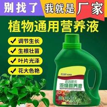 园艺植物营养液通用型土水培盆栽花卉绿萝富贵竹液体花肥料批发