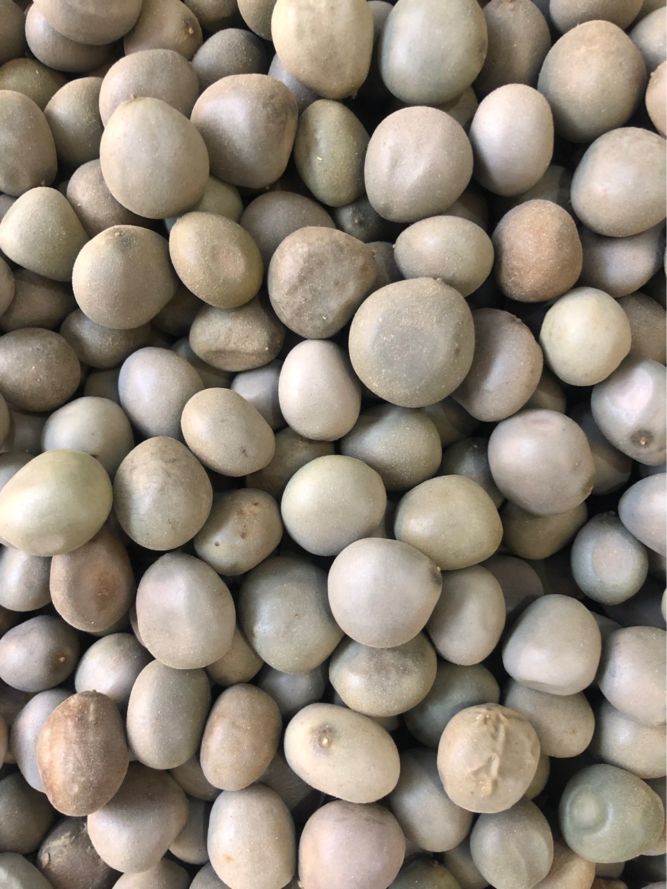 批发中药大托叶云实各种规格 代嚰粉