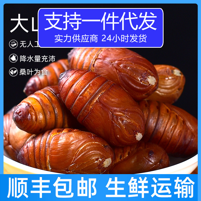 大黄蚕蛹500克丹东宽甸东北特产柞蚕蛹新鲜活蚕蛹大茧蛹蝉蛹-阿里巴巴