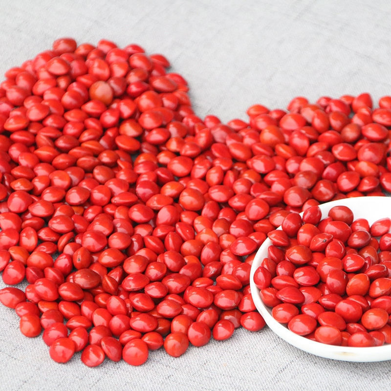 天然红豆菩提原籽相思豆海红豆手串手链散珠论斤红豆珠子一颗打孔