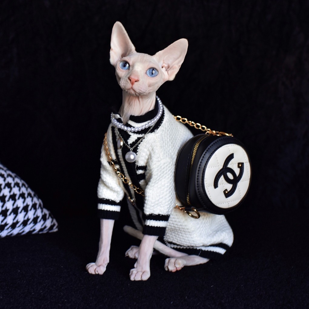 冬天小香风宠物无毛猫潮流宠物欧美幼猫通用幼猫猫衣服
