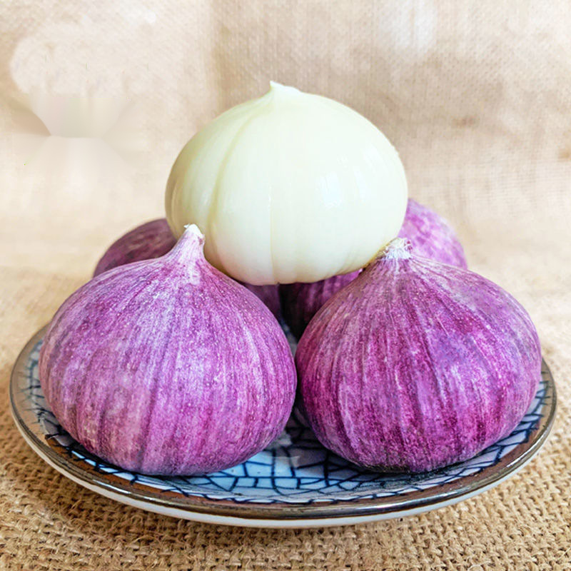 独头蒜冲量云南新鲜紫皮大蒜批发价蔬菜干现挖湿批发独立站速卖通