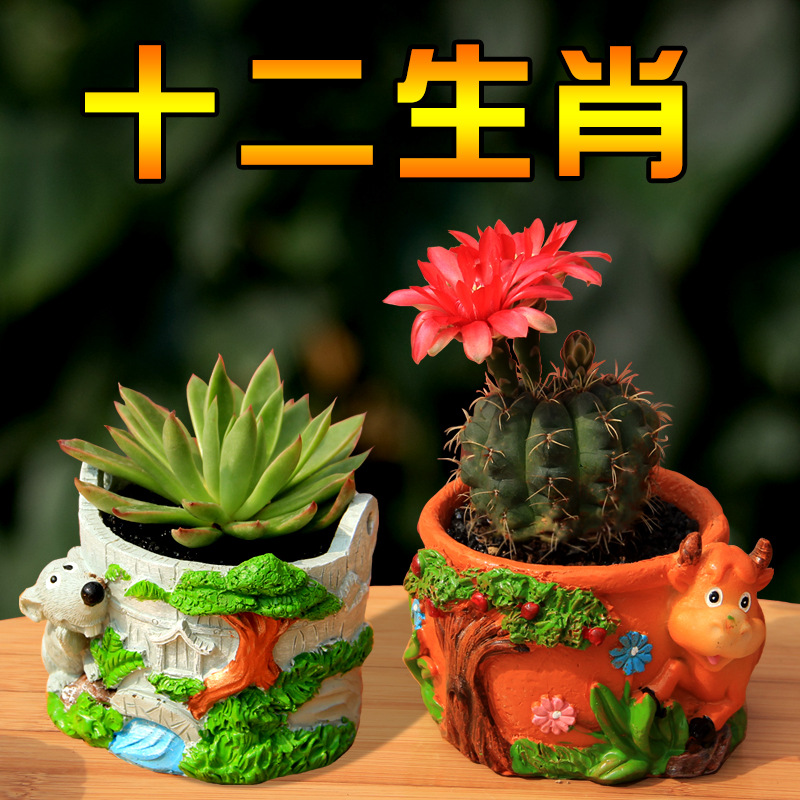 创意卡通多肉花十二生肖手绘树脂花盆动物圆形方形盆栽小塑料花盆