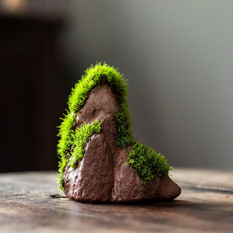 假山鱼缸人工活石造景莫斯水草盆景苔藓盆景微景观摆件人造吸水瓷