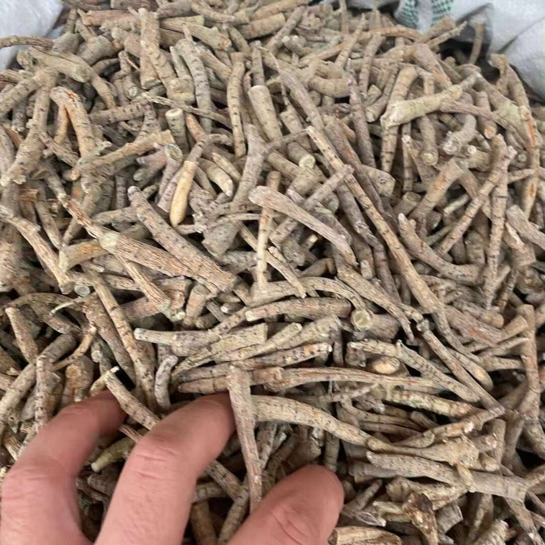 云南文山三七根 三七打粉料 三七特大根四年根 三七粗跟毛根批发