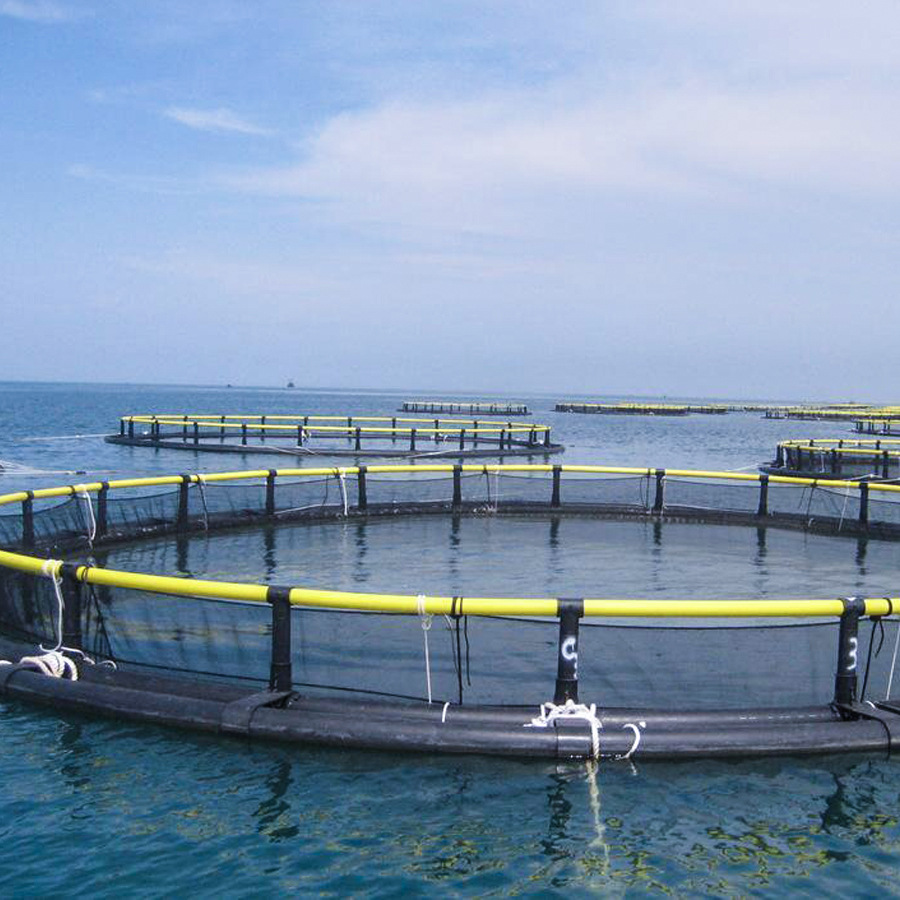 鱼世界深海抗风浪养鱼网箱 养鱼养虾河湖浅海养殖网箱 深化设计