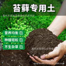 【苔藓专用土】养花通用营养土绿植种植专用土盆栽土有机肥料土壤