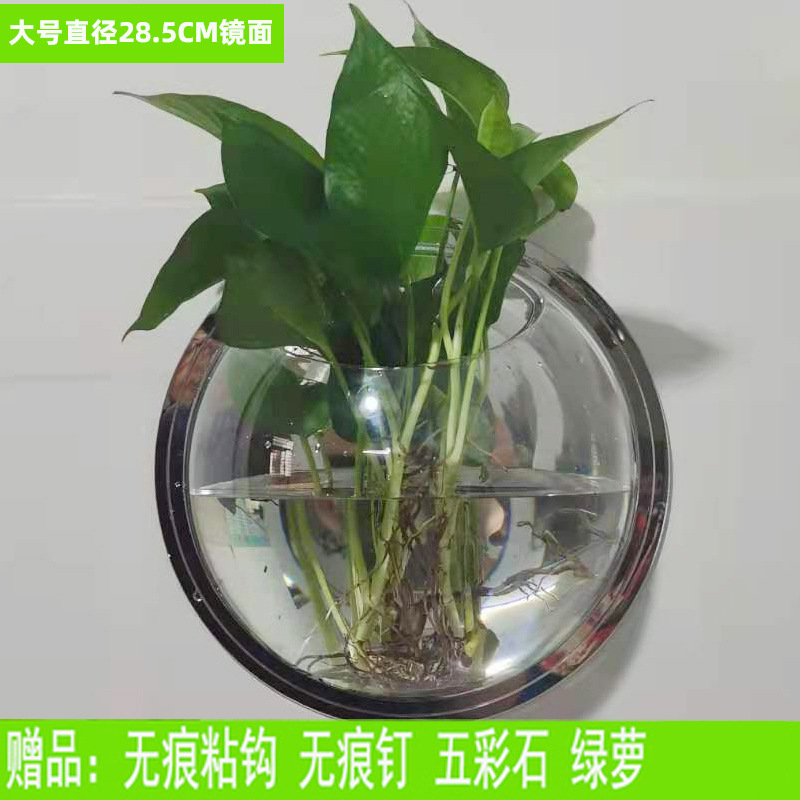 Creative Wall Hanging Flower Pot Hydroponic Hanging Basket Hanging Orchid Vase Flower Plant Green Radish Bonsai Green Plant Potted Flower Device Plastic