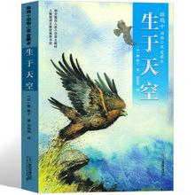 生于天空书椋鸠十动物小说爱藏本小学生版儿童文学书籍三四年级