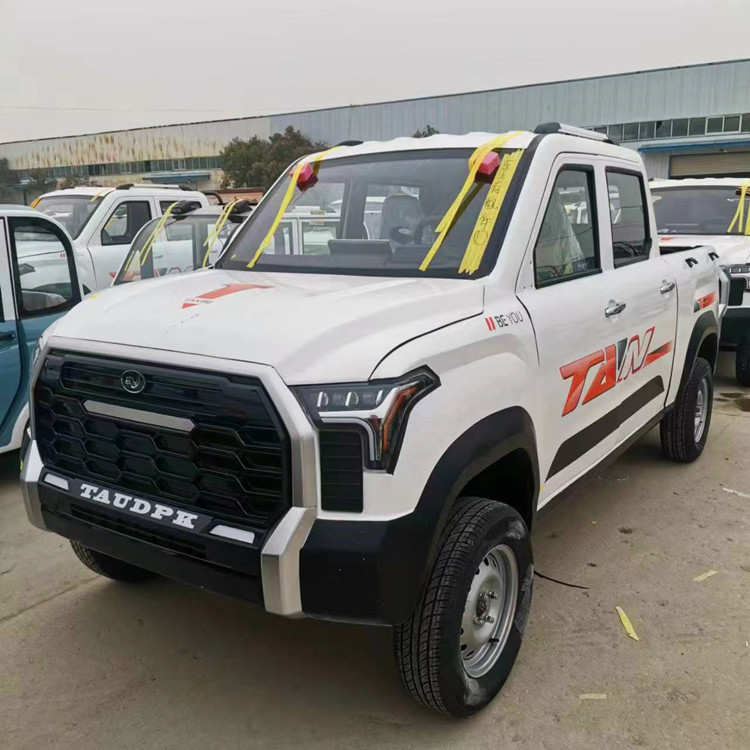 油电两用拉人载货成人电动四轮双排皮卡老年家用四轮电动车-阿里巴巴