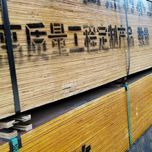 天津建筑模板 松木材厂家批发工程木模板 七层板-11层板过胶量足