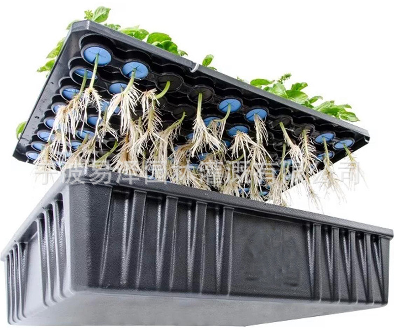水培育苗箱固根器 固定植物根系 定植篮配套海绵 亚马逊ebay爆款
