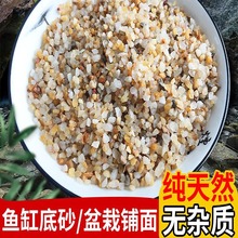 河沙水晶沙鱼缸底砂专用粗沙细沙专用沙多肉铺面养花养鱼砂石