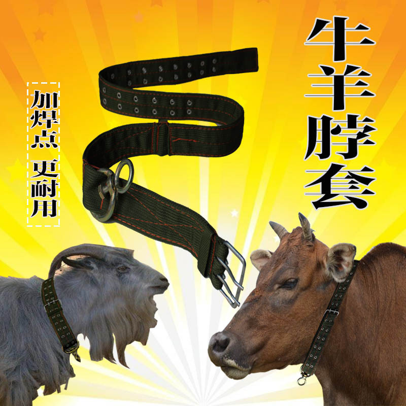 牛羊用项圈羊脖套颈脖子圈笼龙头龙套栓拴牛用的皮带养牛场特大号