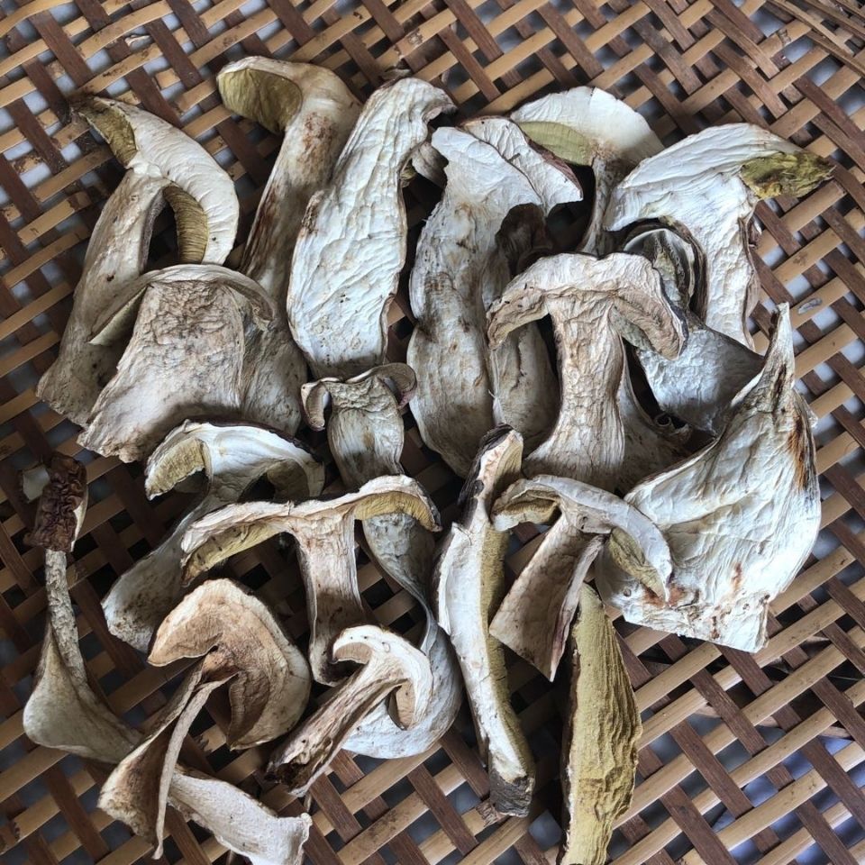 美味白牛肝菌干货 野生菌云南特产新鲜菌菇干山货营养菇类100g