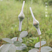 玫瑰花网套塑料网套鲜花月季花蕾保护套防烂防虫套花网罩花网套袋