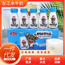 左江水牛酸奶饮品130ml*10瓶装发酵乳营养酸牛奶饮料含乳