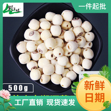 【_磨皮莲子500g】无硫湘莲无芯白莲子干货 适宜搭配银耳