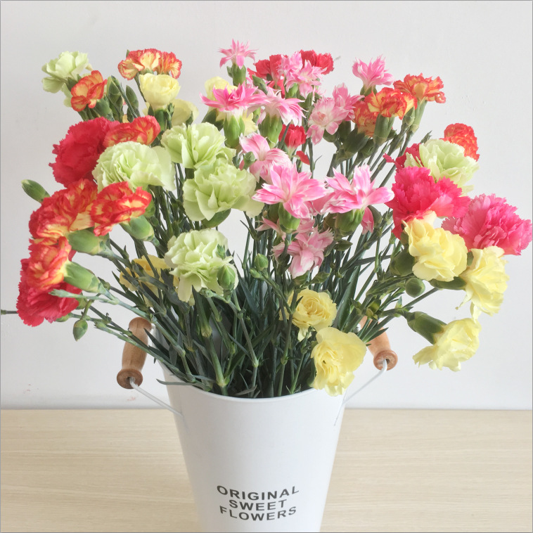 鲜花多头康乃馨花束云南直发基地速递同城配送昆明生日母亲节礼物