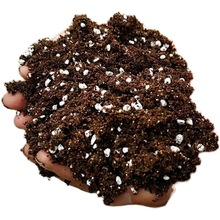 小份营养土 种植土泥炭土大包花土养花种菜土盆栽土100-300克