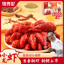 【2盒】信良记小龙虾600g标号麻辣蒜香加热即食小吃夜宵当季新虾