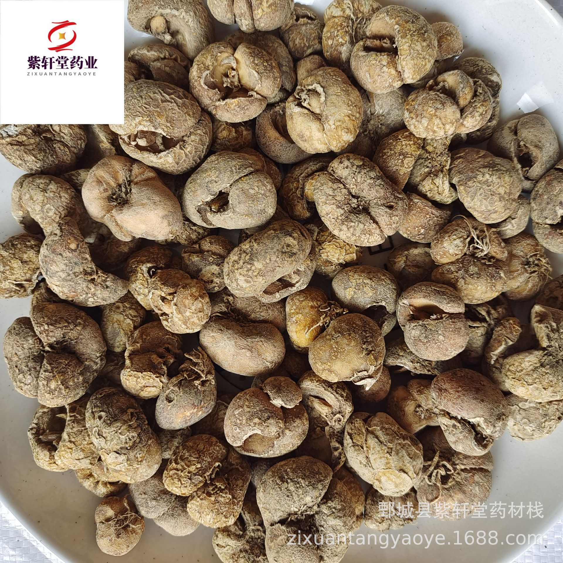【紫轩堂】浙贝母500g新货上市量大从优实物拍摄中药材批发浙贝母