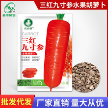 日本三红胡萝卜种子七寸拇指水果胡萝卜种孑阳台易种春秋蔬菜种籽