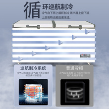 冷冻冰柜商用大容量冷藏节能家用冰箱卧式展示柜冷柜