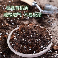 种啥啥活土配方型泥炭土通用型营养土有机土种花种菜土酸性土
