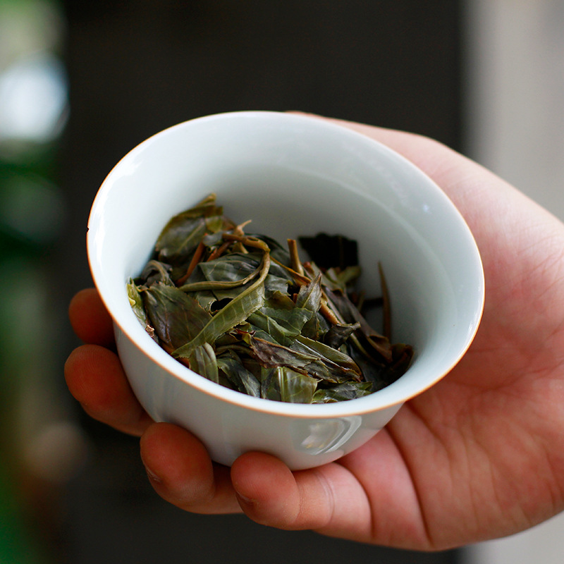 批发 云茶茶科所 云南普洱茶 易武黄金条生茶 315g条 2022年春茶