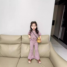 女童甜美芋泥紫条纹运动套装夏季儿童舒适纯棉T恤+喇叭裤两件套潮
