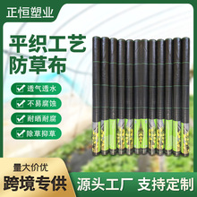 定制平织工艺防草布 品质优越除草布 跨境出口保湿透气遮盖草布