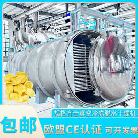 加工定制版水产真空冻干机  304铸造真空冷冻干燥机 蔬菜冻干设备