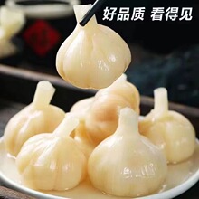 糖蒜新款河北省佐餐小菜自制甜蒜农家涮羊肉火锅蒜亲蒜老北京pymv