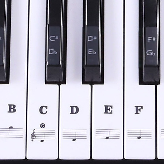 跨境现货 钢琴键盘贴纸电子琴贴五线谱键盘手卷钢琴贴音准贴