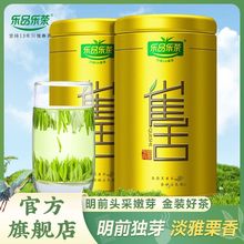 乐品乐茶2023新茶特级浓香型雀舌云雾绿茶叶春茶嫩芽礼盒装250g