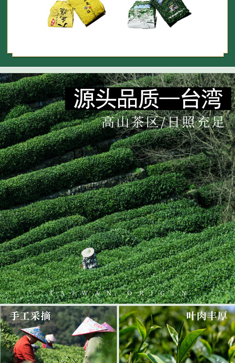 台湾进口冻顶乌龙茶山岚系列梨山茶清香型阿里山高山春茶茶叶批发