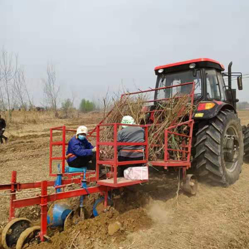 厂家销售植树机支持定制栽树机种树机设备稳定 种植树木机器
