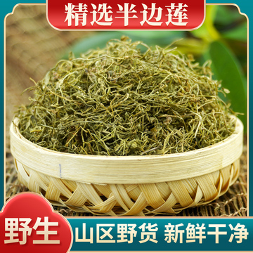 半边莲草药中药材500g野生半边连新鲜干货瓜仁草急解索细米草正品