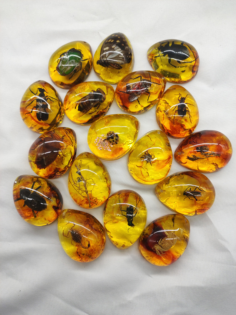 厂家批发精品真昆虫琥珀标本