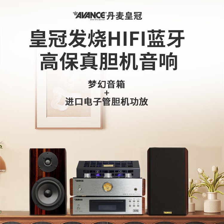 avance丹麦皇冠e200高保真hifi书架音响音箱发烧电子管胆机功放