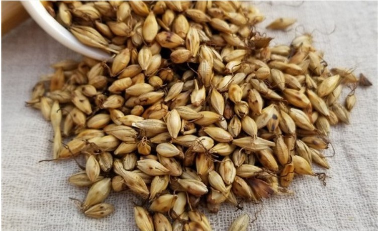 麦芽 炒麦芽 中药材 大麦芽炒 麦牙 500克