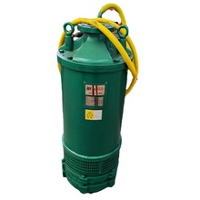 山东大洋生产BQS系列矿用隔爆型潜水排沙电泵防爆潜水水泵