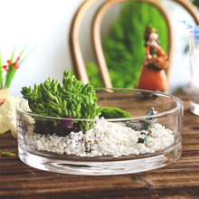 厂家直销创意日式圆形大口多肉植物微景观桌面摆件玻璃花瓶小鱼缸