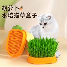 猫草育苗盘小麦种子无土水培盆栽猫薄荷化毛草自己种猫咪幼猫零食